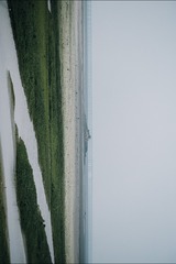 1000023743