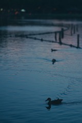 40E6DC49-90BF-4789-8A52-60E99A78340F/L0/001