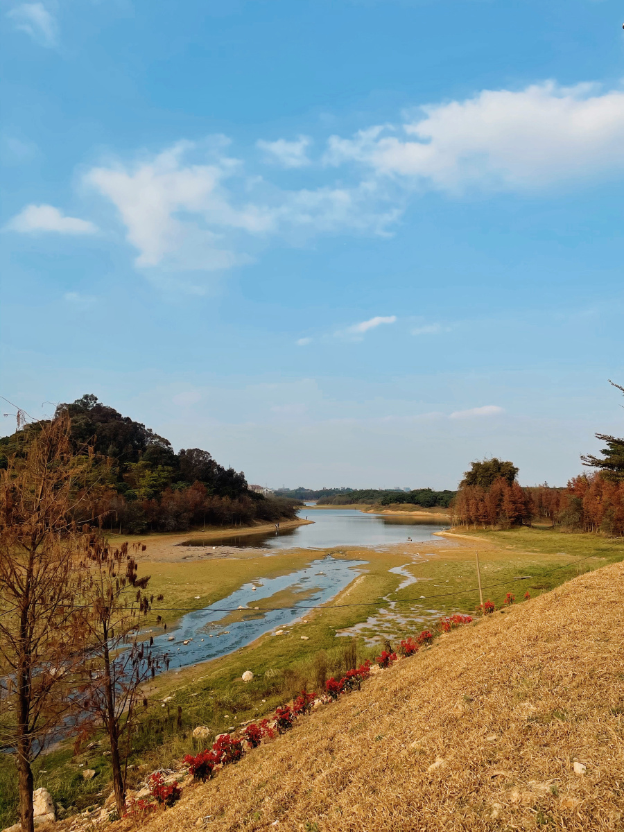 东莞秋日松山湖风景区风光