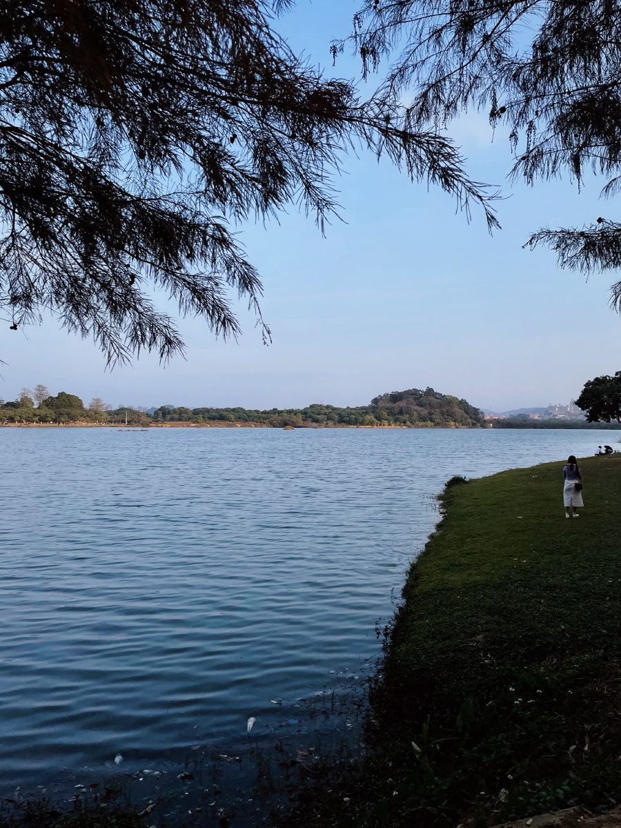 东莞秋日松山湖风景区风光
