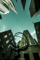 IMG_7744.jpg