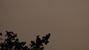 F60C9282-D733-43B7-9E17-5DE14D12A451/L0/001