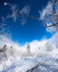 22AC4F00-C4A8-4B6F-A8BF-6E58471D66C3/L0/001