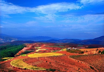 GS_012.jpg