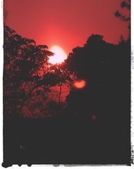 9403CB63-2E69-4904-8A6C-BD10C72DB9B5/L0/001