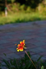 220159
