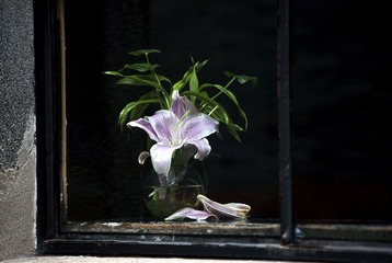 窗花IMG_0827
