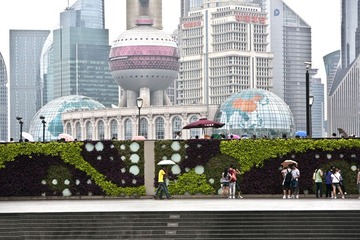 SHWT-1 IMG_0971