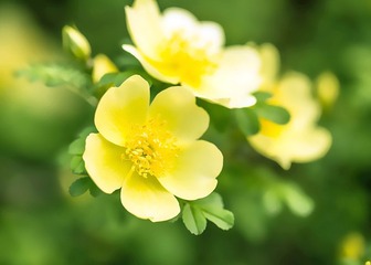 春的气息1.jpg