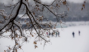 雪后颐和园（11）