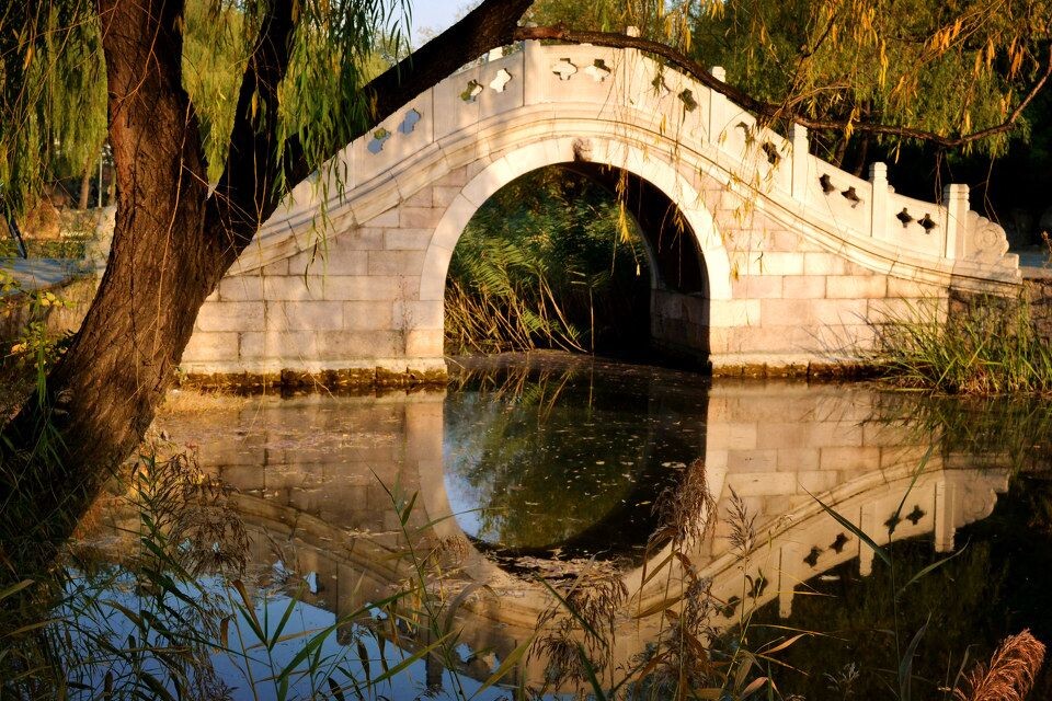5.我的大学·拱桥<br />
