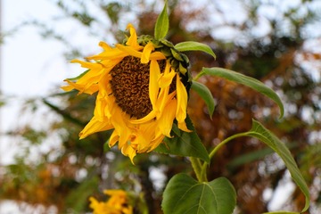 IMG_5096.jpg