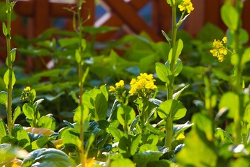 IMG_5122.jpg