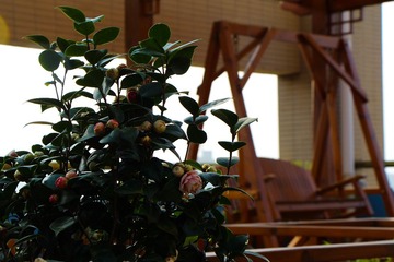 IMG_5154.jpg