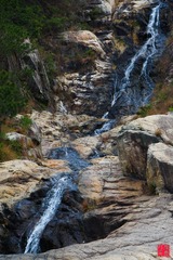 IMG_6577.jpg