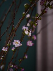 B1566802-E17F-4DB2-B060-96E4F9007663/L0/001