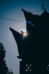 1000020439