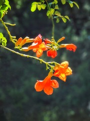 A06DA290-6CB9-4FDF-AB31-5471CD038B22/L0/001