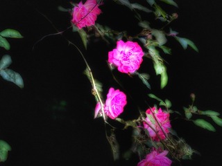 794D47A0-F2A4-4BD8-8ADD-9A1F7D18E5BF/L0/001