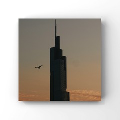 444406