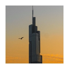 445853