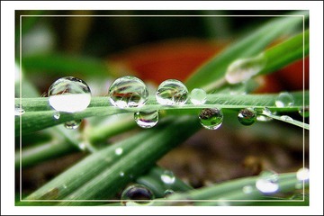 雨滴