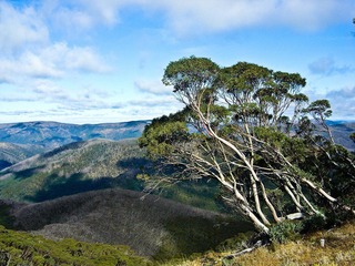 Mt.Hotham