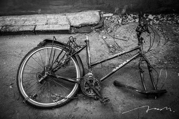 L1009193-3 copy.jpg