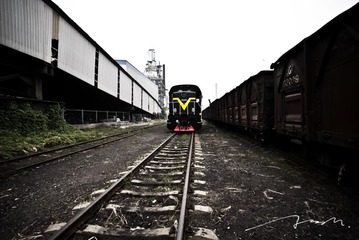 L1000950