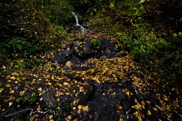 L1002520