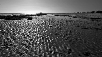 Brighton Beach