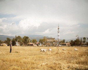 K87A7059.jpg