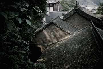 _DSC4001