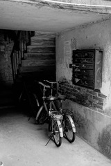 _DSC4100