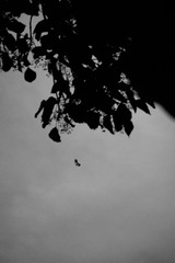 _DSC5901