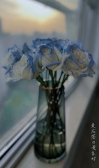 6C0DA8D2-C1D3-4B37-A647-99347962C886/L0/001