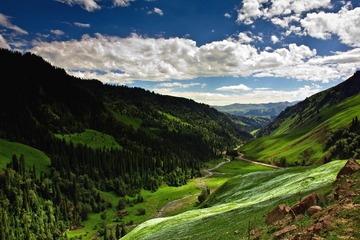 IMG_0821-2