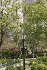 KG5Z7545修.jpg