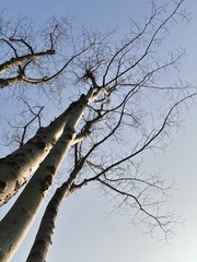 AC5AA6AA-4C4B-4946-8B79-BD212A8AF69A/L0/001