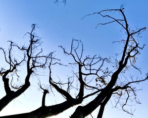 E4AD079E-17B8-446D-BB4A-49A873DB42AB/L0/001