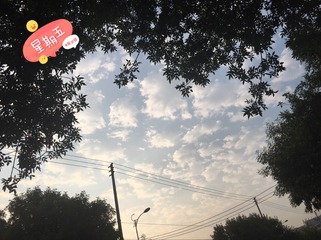 E40D2ECE-21A3-4A29-AE8B-2BD2C15B0F60/L0/001