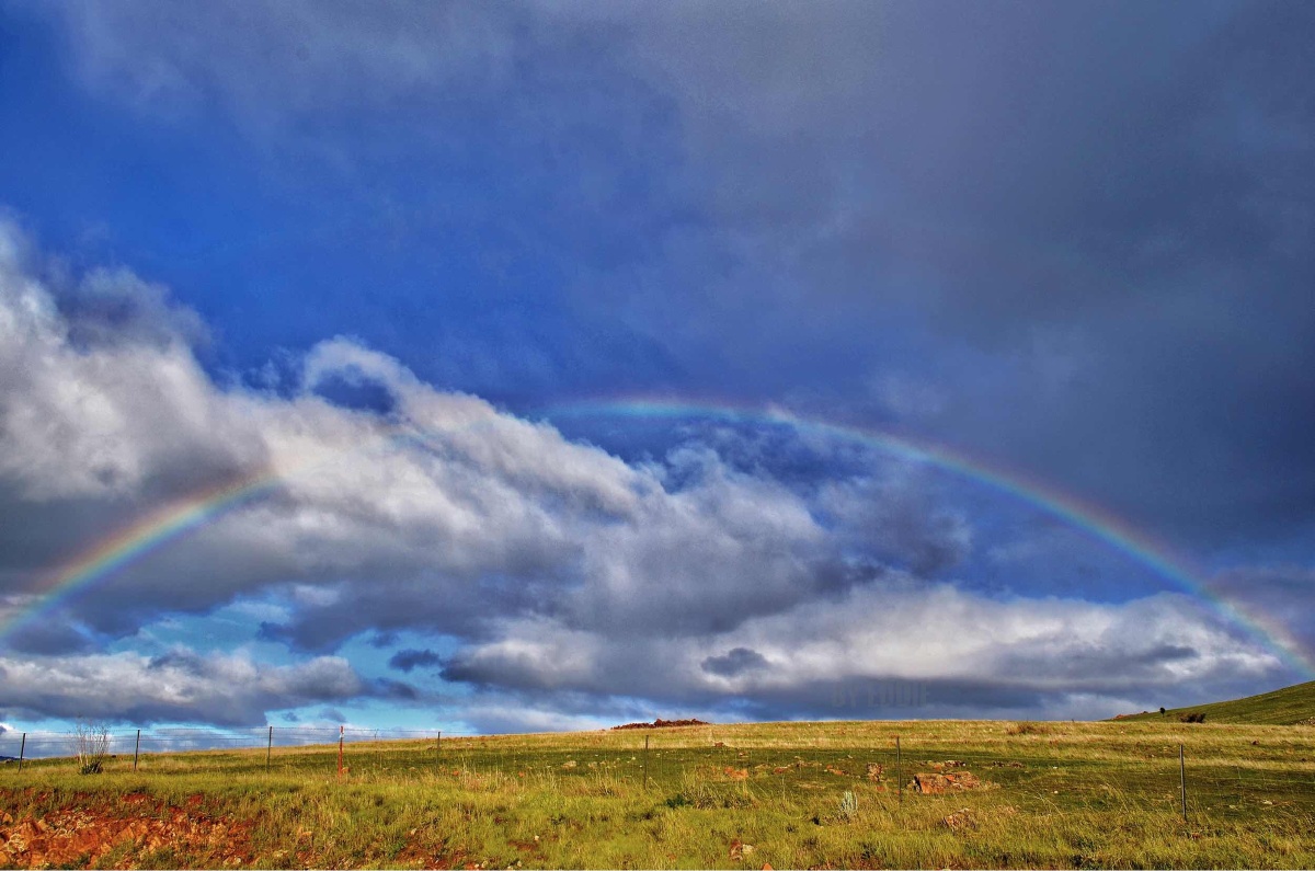 霍巴特亚瑟港监狱回程路上偶遇整条双彩虹,上面第二条?隐约可见
