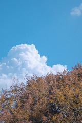 BFEB4CA0-B247-420D-80B7-8609525FD2F3/L0/001