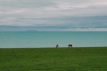 28F52650-07EC-45F0-AEC7-6D036826E16C/L0/001