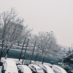 3C9C48DC-6816-449A-BD8E-9591A456DB73/L0/001
