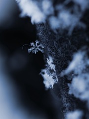 802CA32F-F320-4455-AB9A-E768D4CE7FFD/L0/001