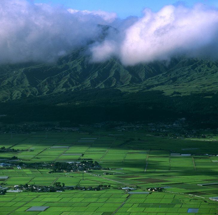 阿苏山上<br />
Hasselblad503CW c250T* F22 RVP50