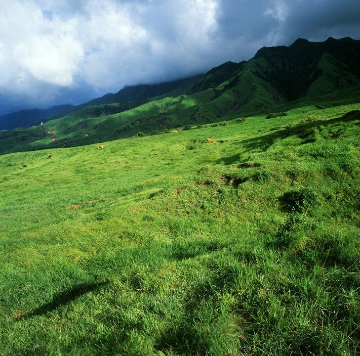 阿苏山上<br />
Hasselblad503CW c50 F22 RVP50