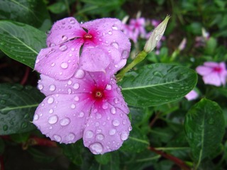 IMG_1578.JPG