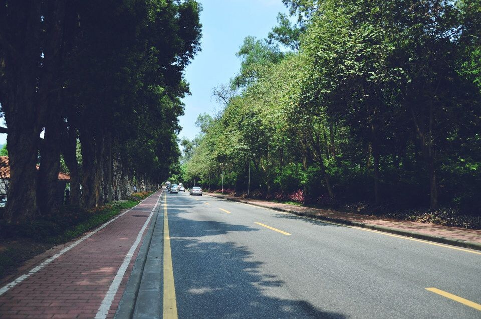 湖边的街道<br />
希望没有车来车往